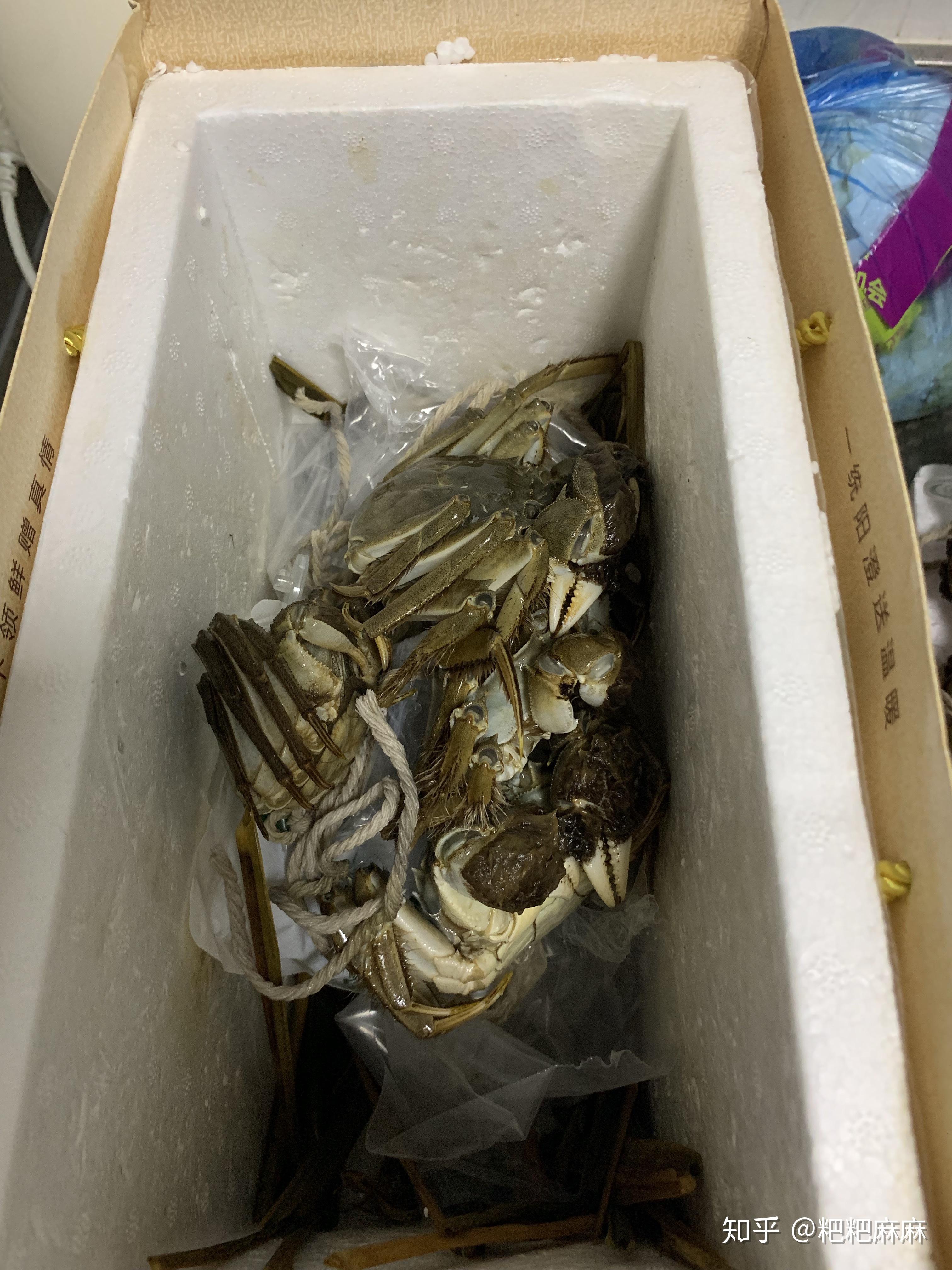 网购大闸蟹拆包全纪录