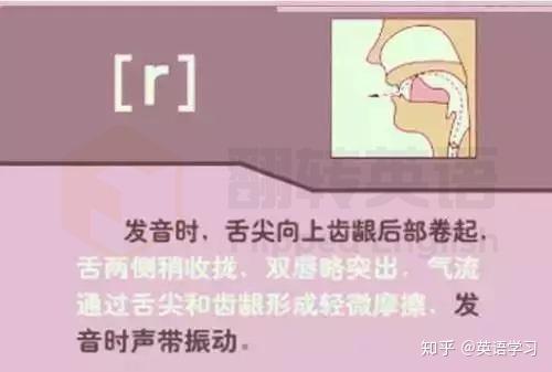 英语 \/r\/ 和 \/\/ 的发音有何区别?