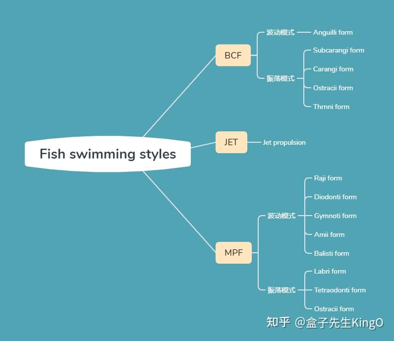 机器鱼综述 （一） - 知乎