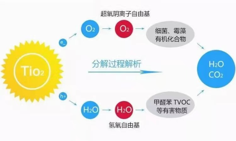 空氣淨化器推薦2024空氣淨化器怎麼選空氣淨化器可以除