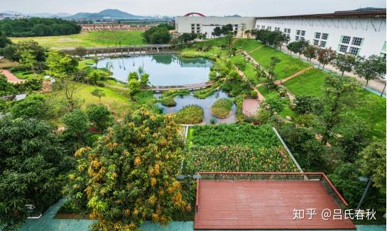 生态护坡,透水铺装等多种海绵设施,将其串联成一个海绵系统,并在园区