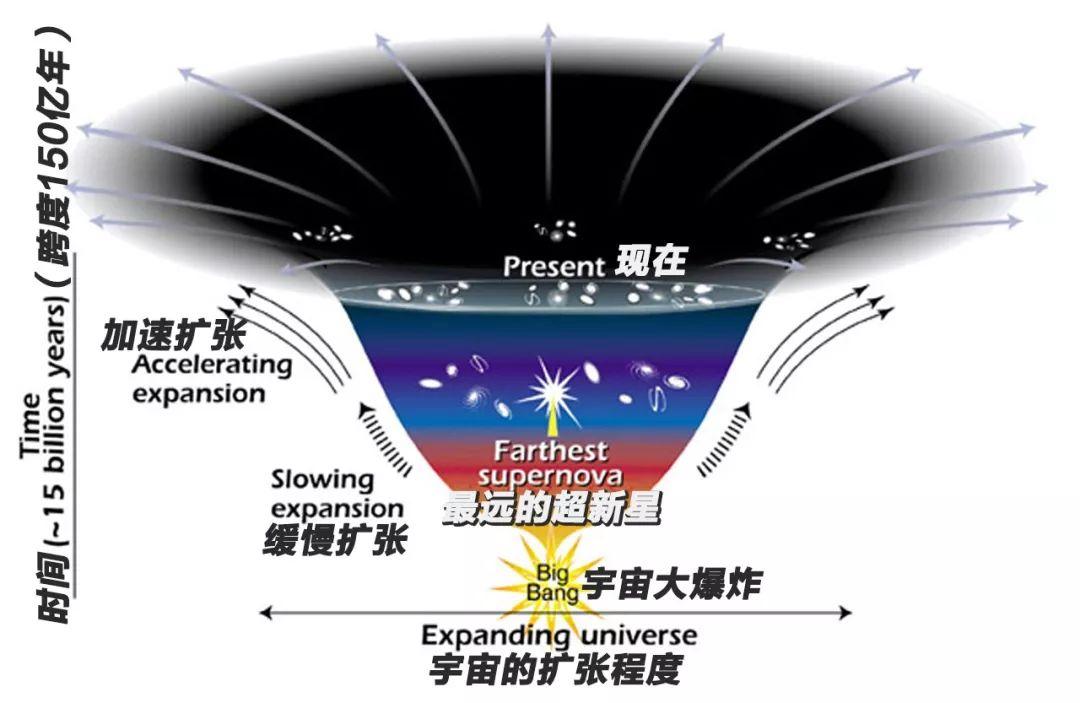 暗物质生命体图片