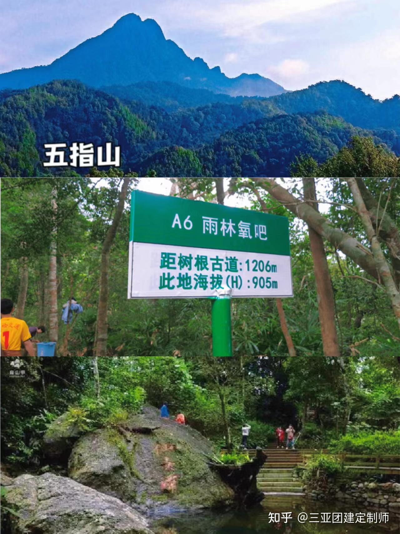 海南团建：五指山2天1夜（团建项目+登山徒步） - 知乎