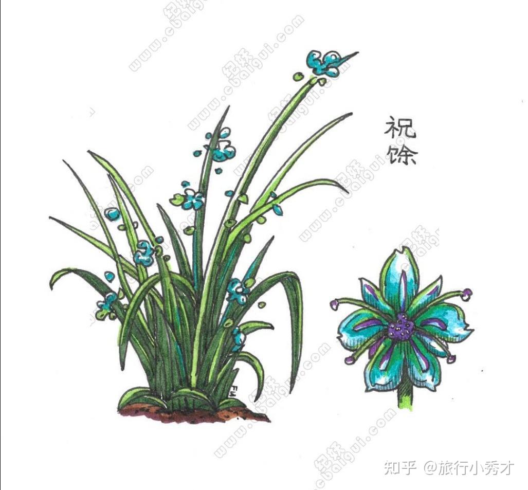 一起聊聊上古奇书《山海经》里的那些小妖怪! - 知乎