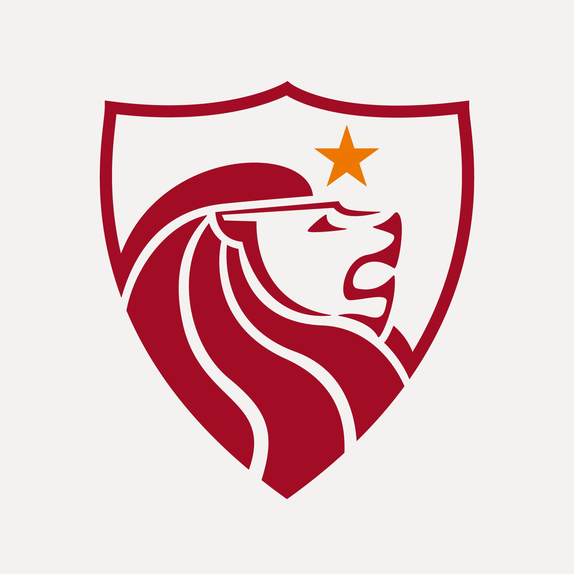 喜鹊logo设计合集不是更多而是变好