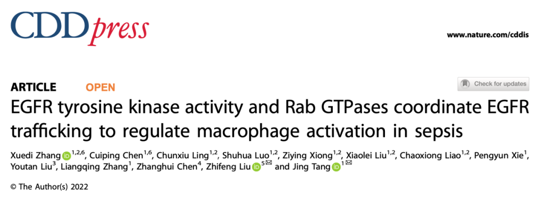 Egfr Rab CDD | 唐靖/刘志峰团队合作揭示EGFR激酶活性和Rab GTPases协调EGFR胞内转运调控脓毒症巨噬细胞极化 - 知乎