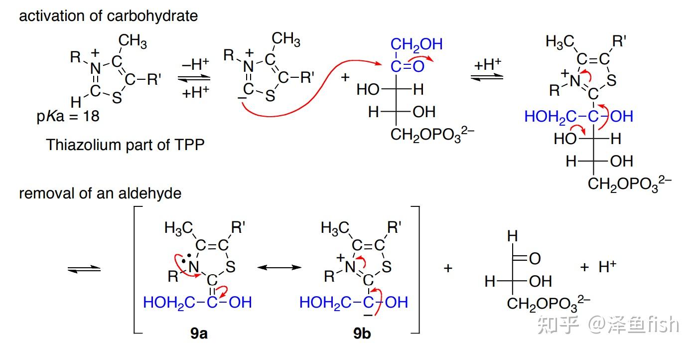 两分子苯甲醛可以在nacn催化下缩合,形成二苯乙醇酮(安息香),其中羰基