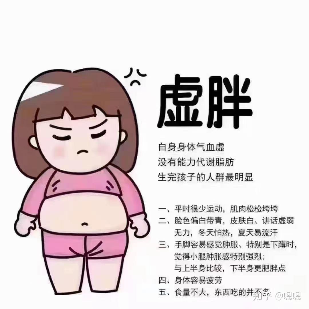 气虚型肥胖图片