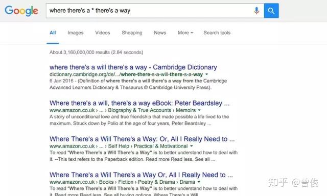 高级搜索的技巧插图8 高级搜索的技巧插图8