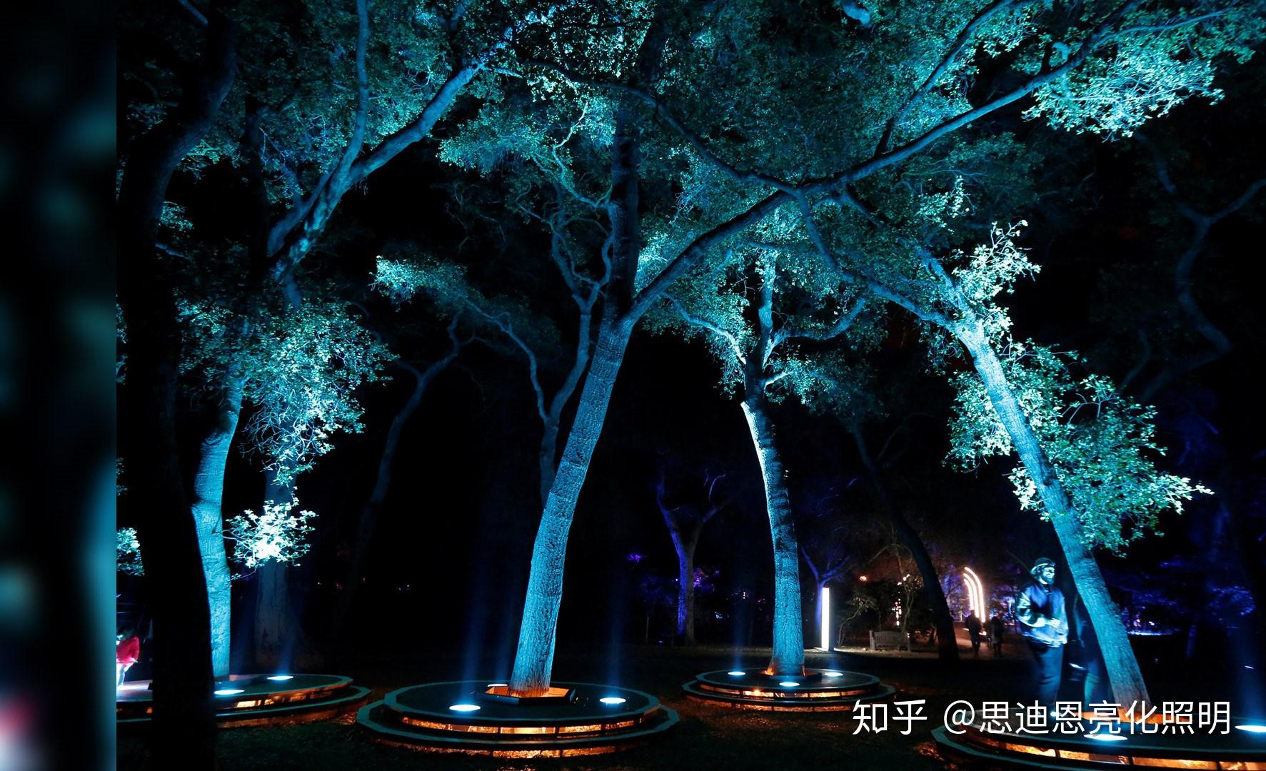 这组作品名字叫"梦幻森林"