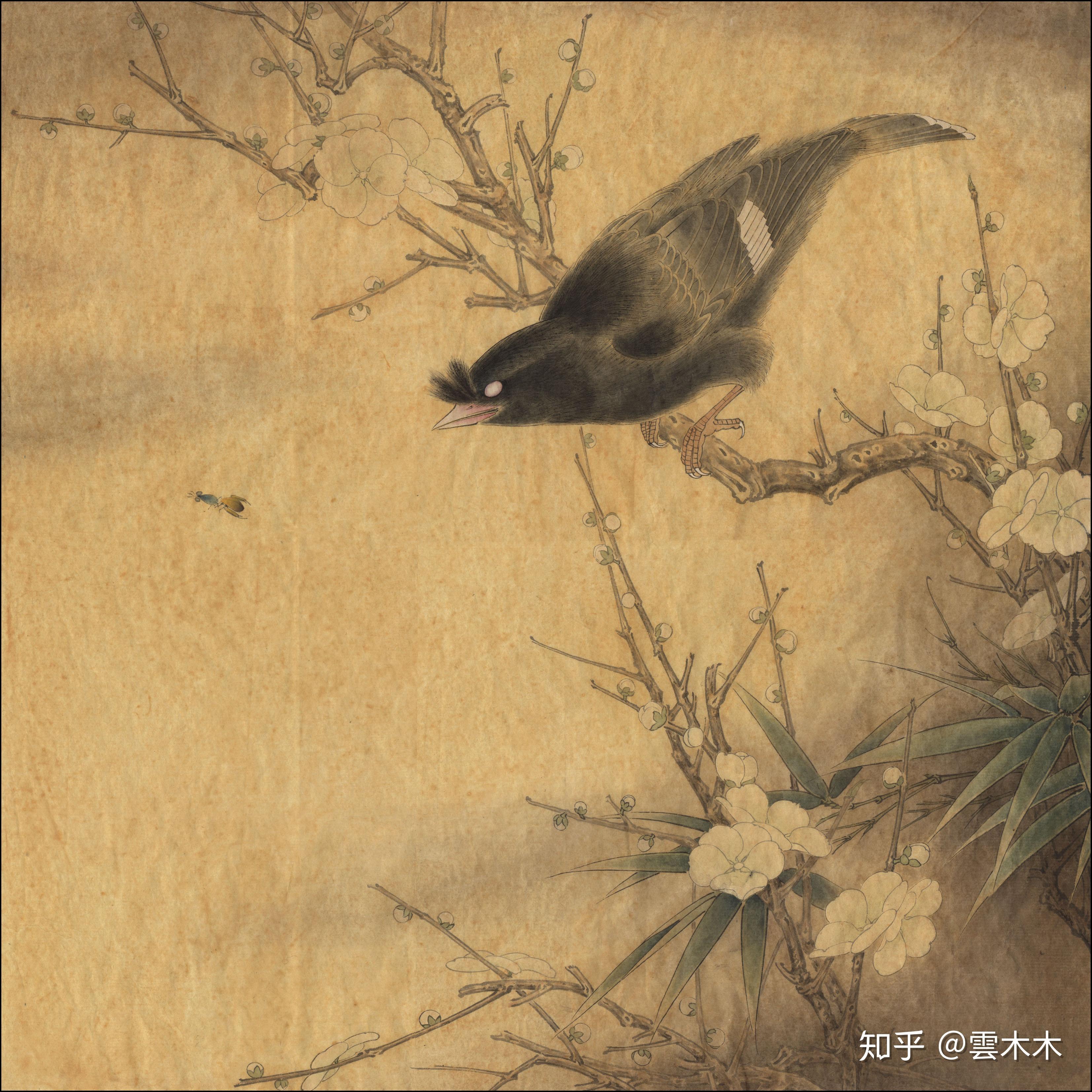 宋小品白梅鸲鹆图绘制步骤