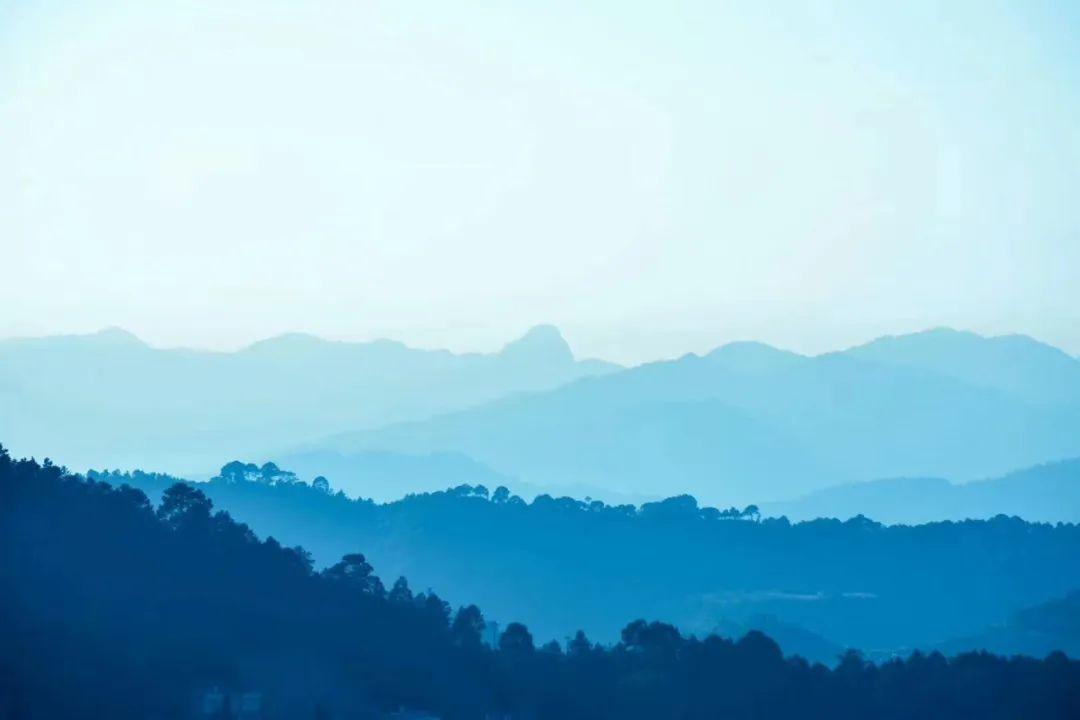 色调之高短调干货