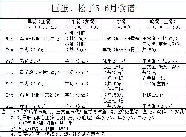 正规猫舍猫咪价格太高品种猫这么暴利
