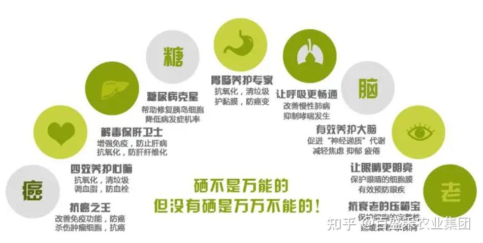 富硒食品满天飞,到底有啥好? - 知乎