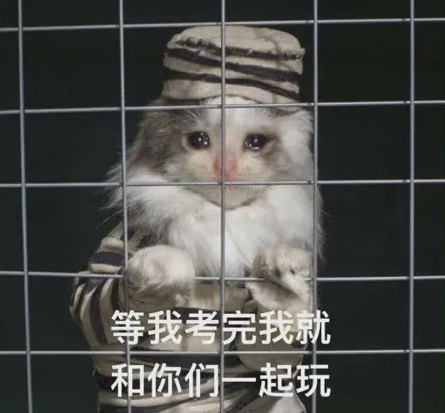 113张最沙雕最搞笑的表情包