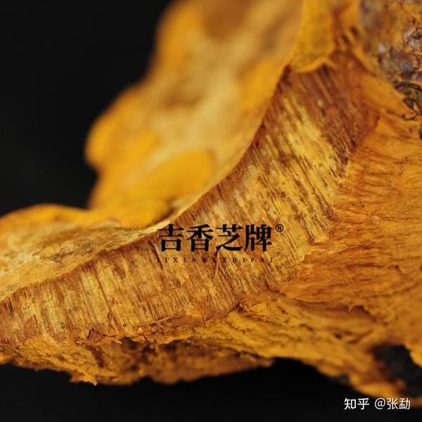 恭喜你！购买桑黄前看到了这篇靠谱的桑黄辨别指南 - 知乎