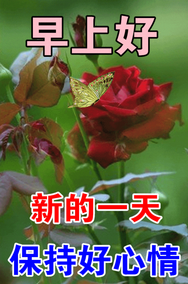 清晨放松心情的早安问候祝福语，最美的早上好祝福语图片 - 知乎