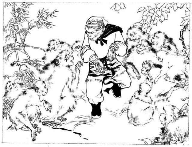 猴子和他的朋友们