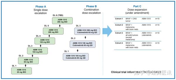 国产BRAF抑制剂ABM-1310获FDA孤儿药认证，用于BRAF V600突变胶质母细胞瘤 - 知乎