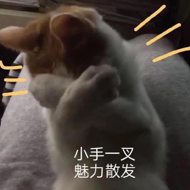 怎么撩天秤男最容易 v2-8e946e99beea41b2e9e63f6345d87613_r.jpg