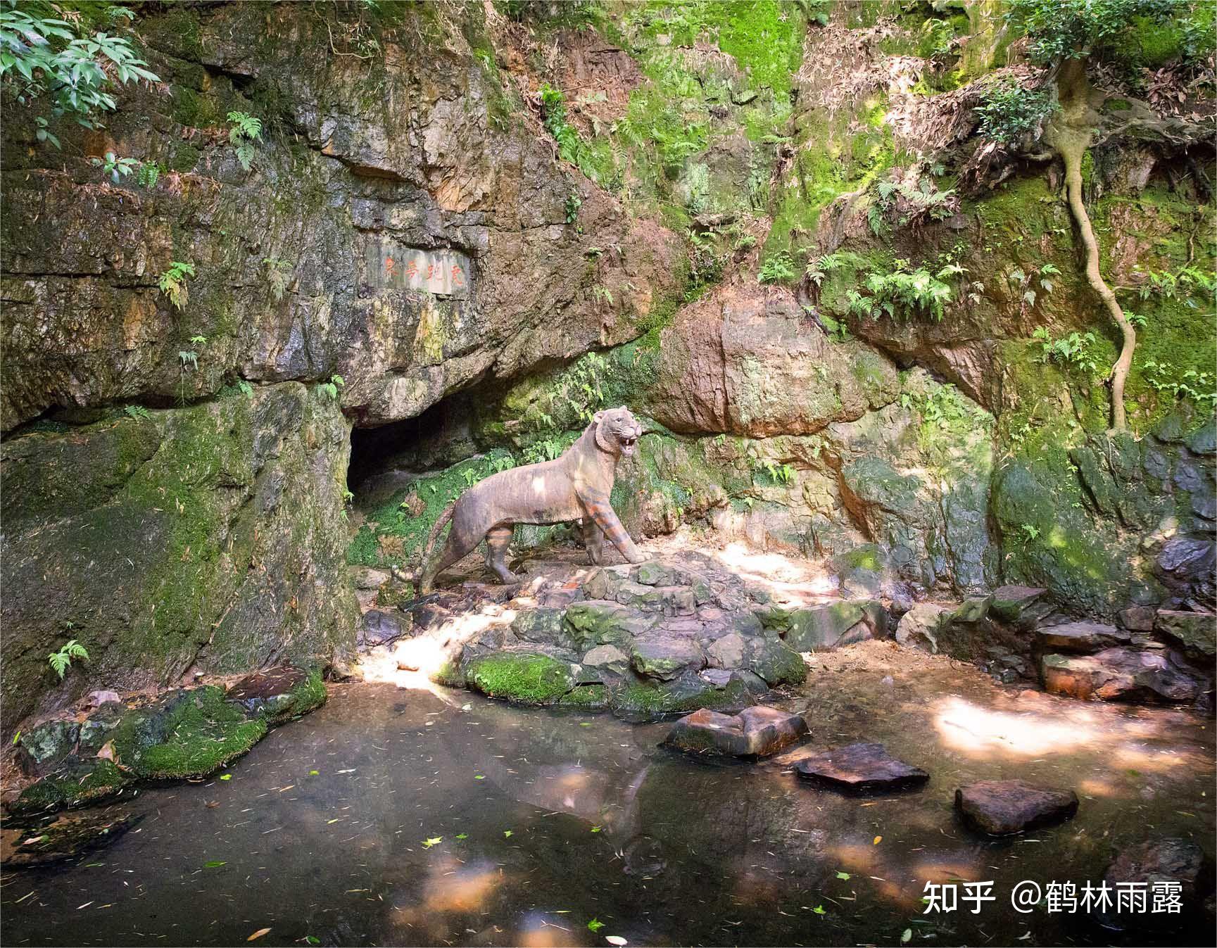 杭州西湖三大名泉虎跑泉 