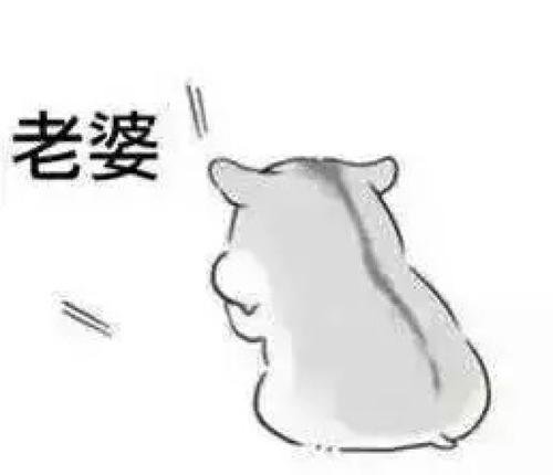 小兵说老婆对不起