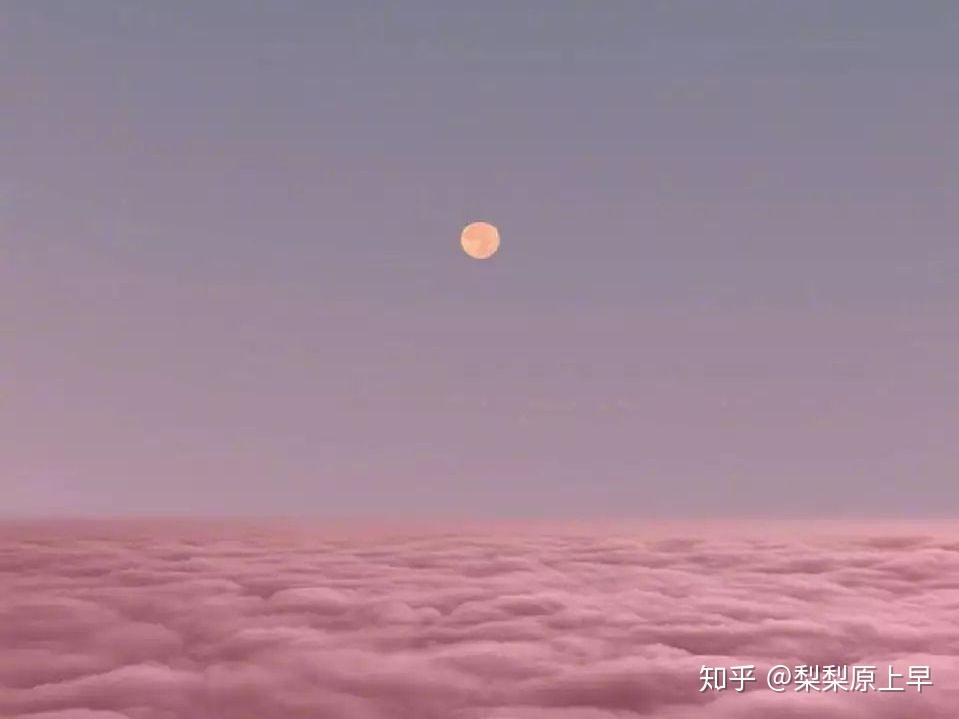 优美的古诗词句 v2-8e9ee29d3e4845f3cff7628cfd1fc7b3_r.jpg