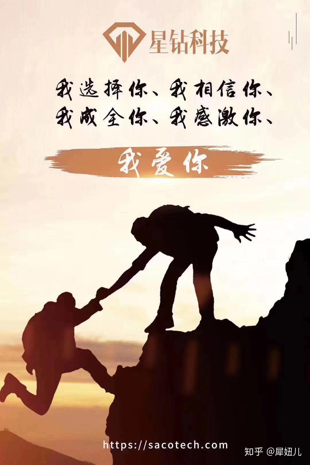 星钻科技我挺你