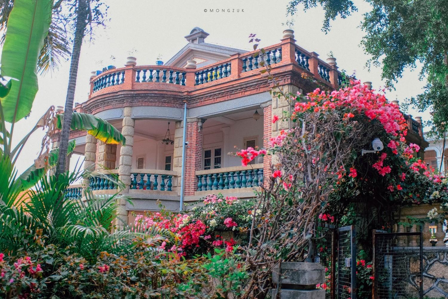 一日玩转鼓浪屿岛民私藏鼓浪屿玩法