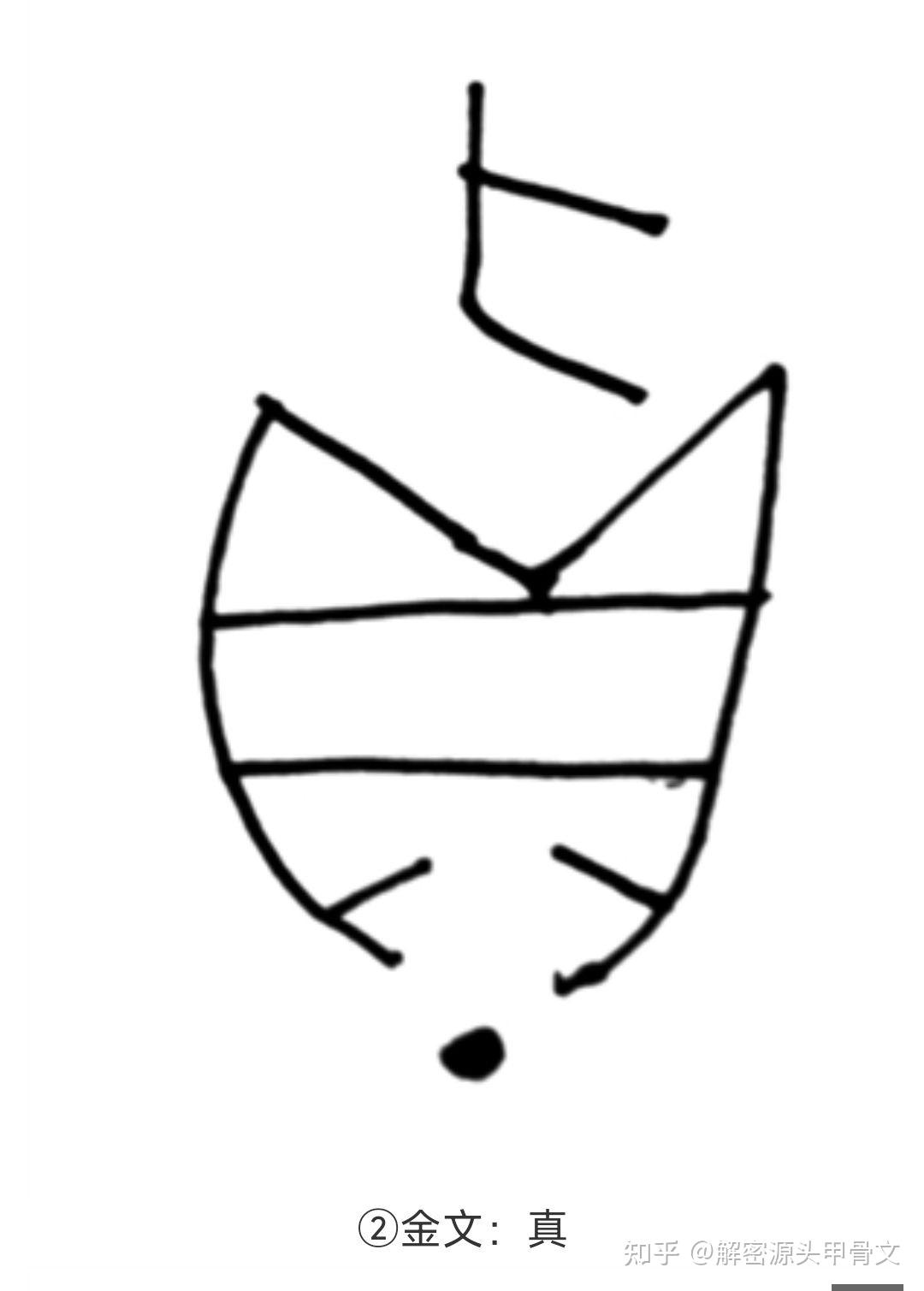 甲骨文及金文,篆体等,也都遵循仓颉造字的这套造字原理.