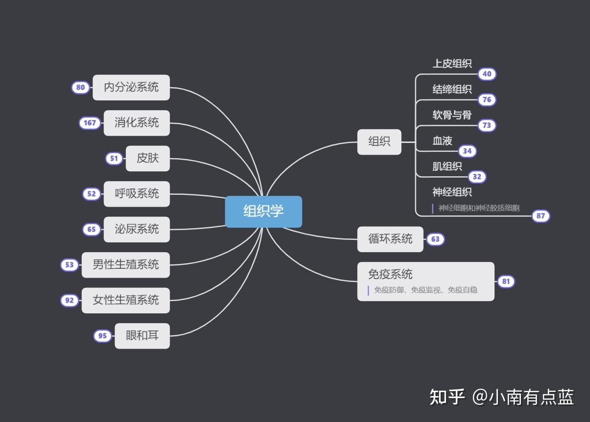 《组织学与胚胎学》思维导图整理 知乎