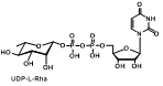 1955-26-6 UDP-L-Rhamnose 分子式: C10H19N2O9 分子量: 350.27 g/mol - 知乎