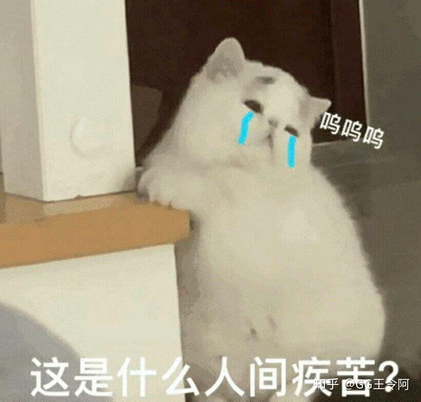 v2-8ee47a4670ac7849c225ac2b8ffd1beb_r.jpg