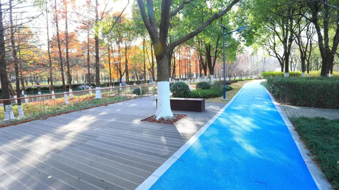 新虹街道环社区绿道