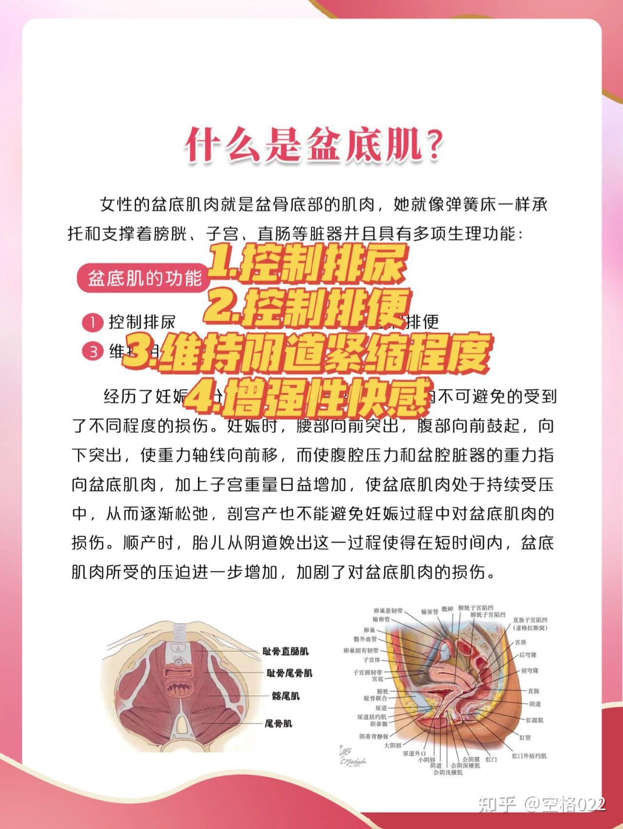 产后修复的那些事盆底肌修复到底要不要做