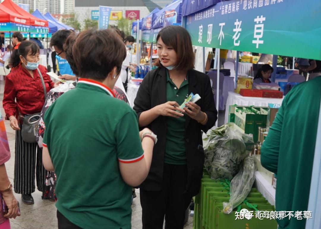 青岛琅琊台不老草图片