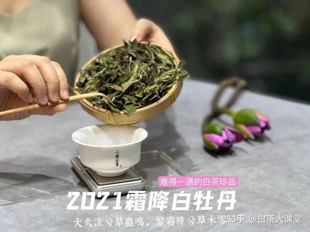 趁热闻盖香VS冷后闻叶底,白茶闻香原来学问这么多,5点干货满满 - 知乎