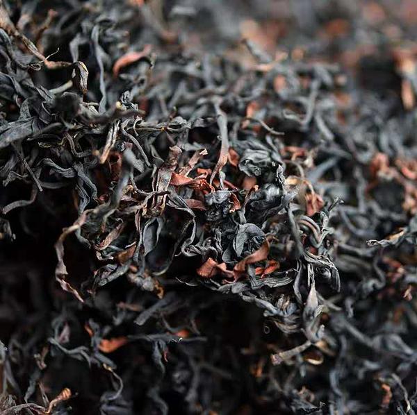 古树晒红到底是什么红茶