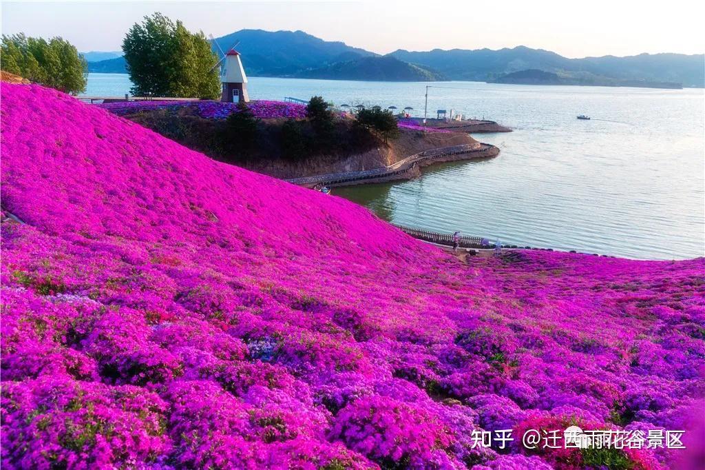 來雨花谷,開始一次說走就走的旅行!