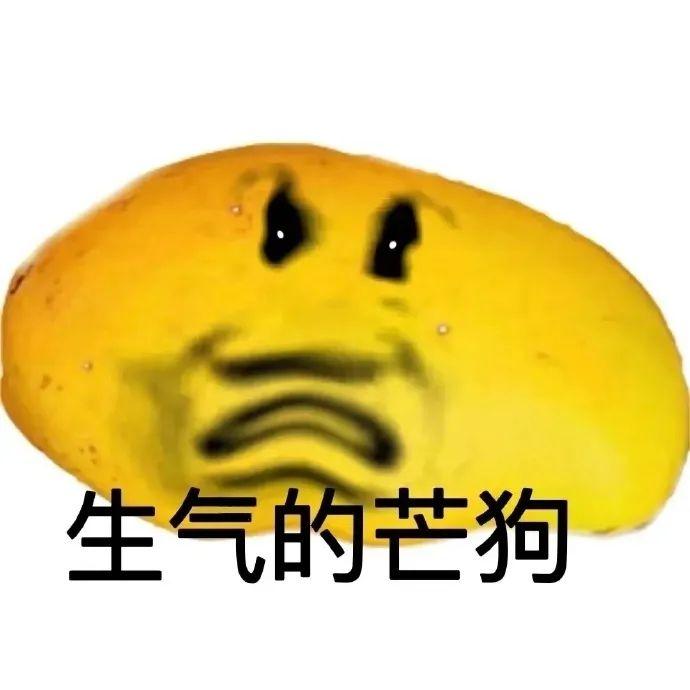 表情包 | 莽狗mango搞怪表情包#芒果 - 知乎