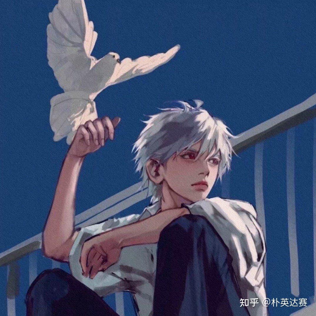 双男主 - 知乎