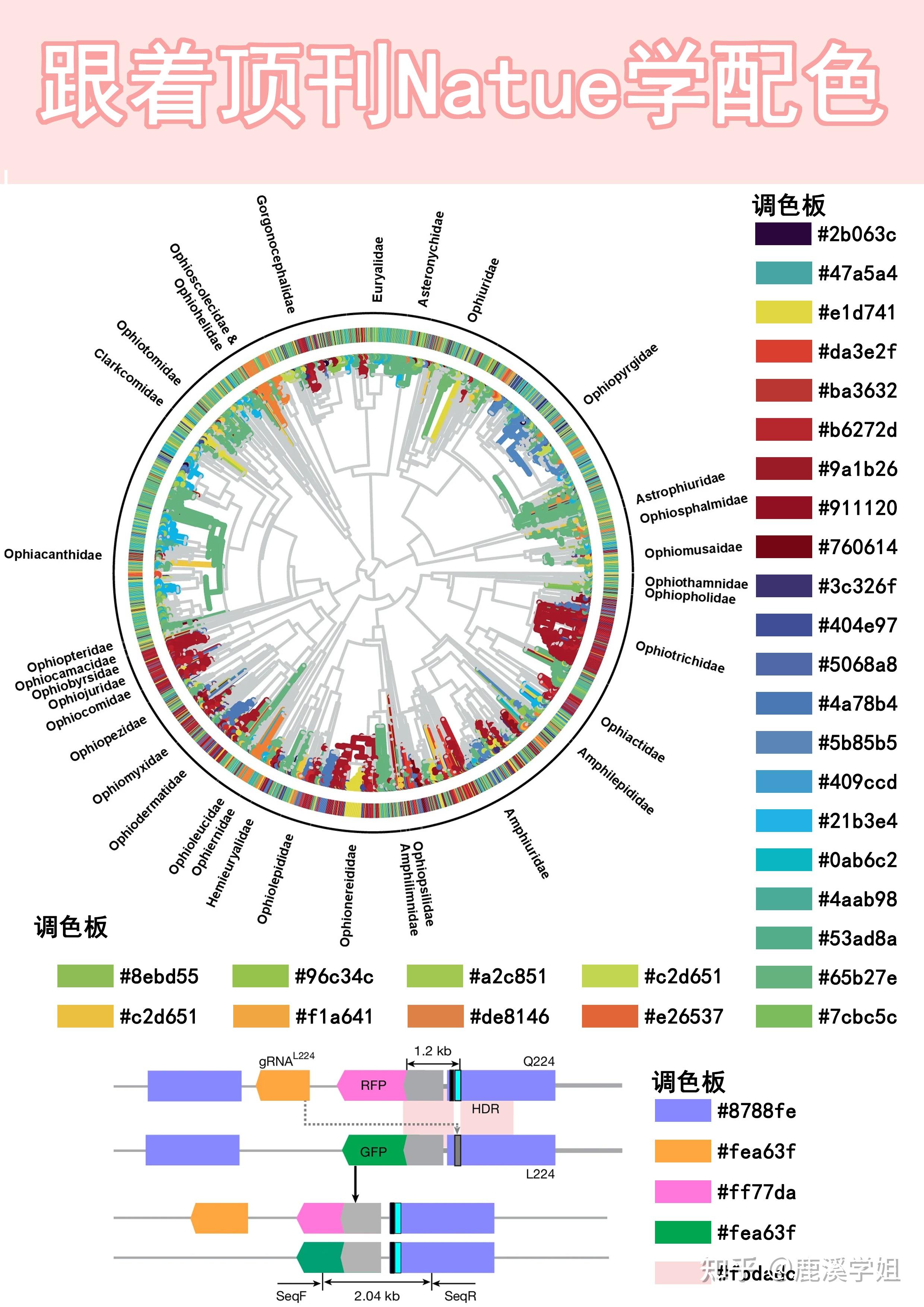 Nature御用配色公式！科研绘图秒变顶刊风，3招搞定高级感 - 知乎