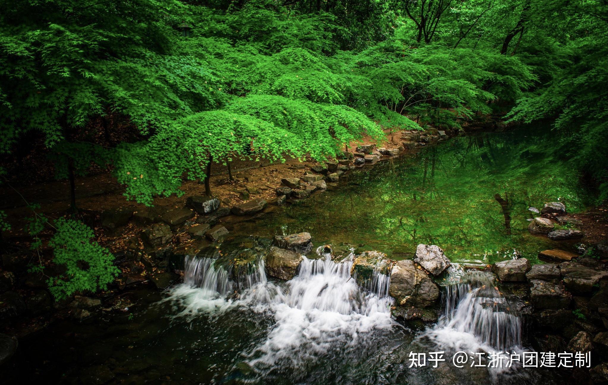 江浙沪团建西湖新十景九溪烟树九溪十八涧