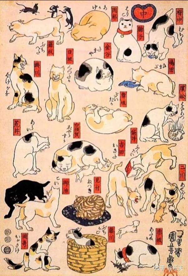 他是日本首屈一指的猫奴画师，画出了200年前的“猫间百态”！ - 知乎