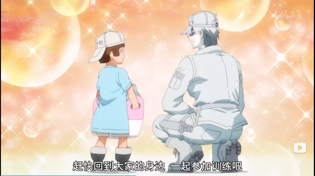 你知道可爱的血小板哪来的吗工作细胞