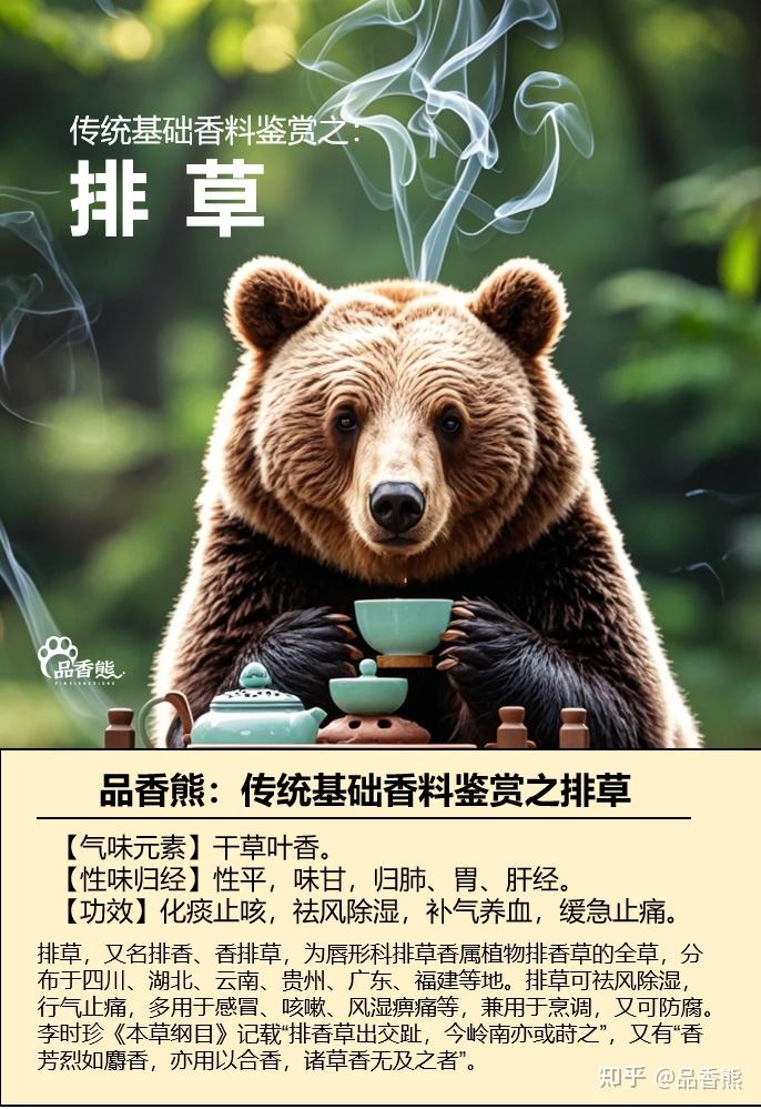 品香熊:传统基础香料鉴赏之排草 排香 香排草 - 知乎