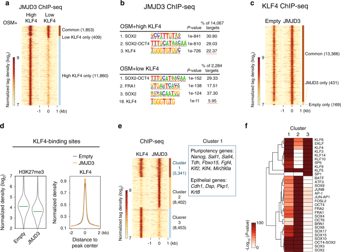 易基因｜一文看懂：ChIP实验和qPCR定量分析怎么做 - 知乎