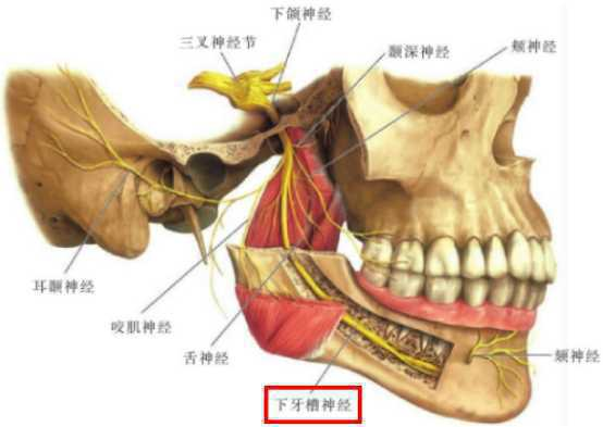 下巴后缩,做颏成型手术有用吗?颏成型风险大不大?效果如何?国内有哪些擅长的医生? - 知乎