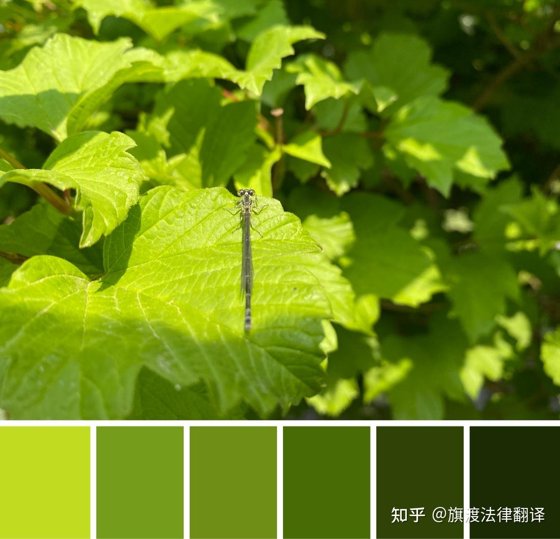 Outstanding在财报中的双重含义- 知乎