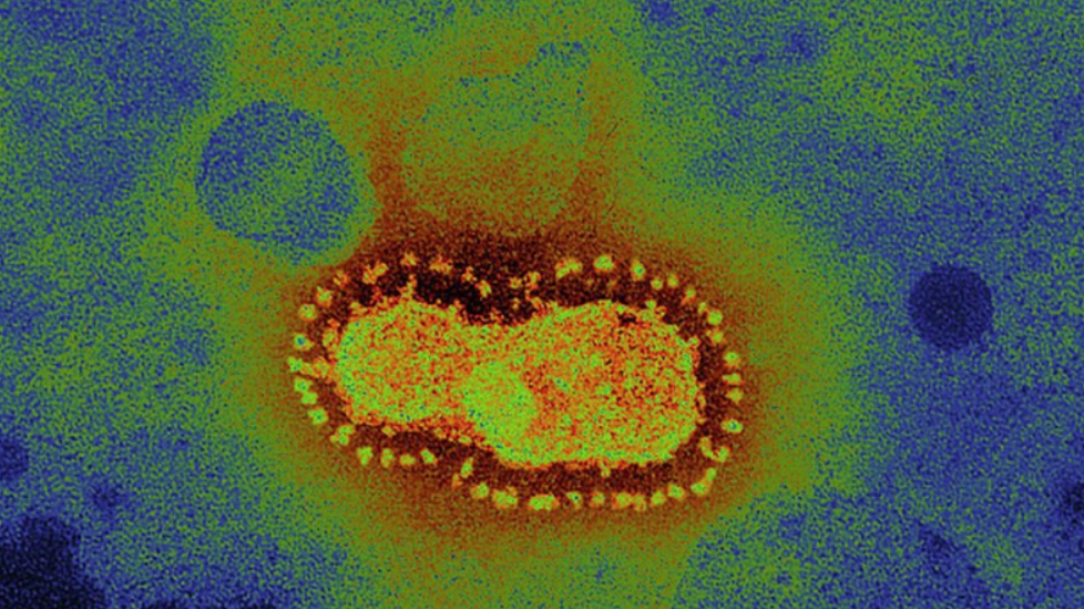 聊聊新型冠状病毒2019-ncov
